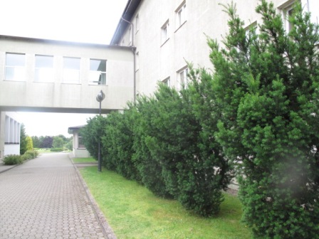 files/music_academy/campus/invest milenium/invest16.JPG